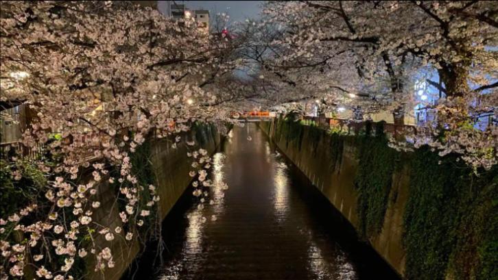 Apartamento Tsunoya Tokio Exterior foto
